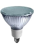 EarthTronics FP3823351B 23-Watt 3500K PAR38 Flat CFL Floodlight, Bright White