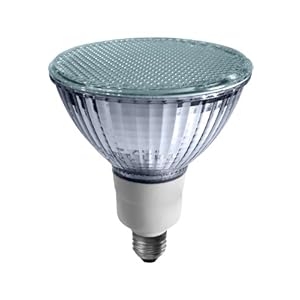 EarthTronics FP3823351B 23-Watt 3500K PAR38 Flat CFL Floodlight, Bright White