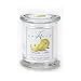 Kringle Candle Company Medium Jar Candle - Honeydew Melon