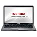 Toshiba Satellite P775-10L 43,9 cm (17,3 Zoll) Notebook (Intel Core i7 2630QM, 2GHz, 8GB RAM, 500GB HDD, NVIDIA GT 540M, Blu-ray, Win 7 HP)