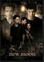 Twilight - New Moon - 3D Lenticular Poster - 50cm x 70cm