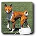 Dogs Basenji - Basenji - Mouse Pads