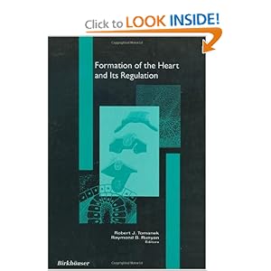 Click here to buy Formation of the Heart and Its Regulation (Cardiovascular Molecular Morphogenesis) by Robert J. Tomanek and Robert B. Runyan.