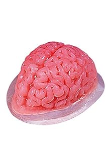 Puddingform Gehirn