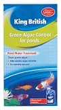 41jvZvcf%2BcL. SL160  King British Green Algae Control (pond) 250ml