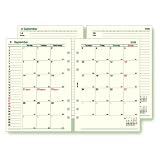 『送料無料 ダ・ヴィンチ A5サイズ 月間&週間 2009年度日付入り リフィール (AB-269:DVDAR9007)』の写真