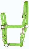 Hamilton 11-16 1 Nylon Adjustable Quality Horse Halter with Snap, Large, for Horses 1100 to 1600 lbs. -Lime