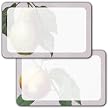 Botanical Fruit - Assorted Adhesive Labels