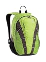 Coleman Exponent Pounce X15 Panel-Load Daypack,Green