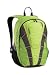 Coleman Exponent Pounce X15 Panel-Load Daypack,Green