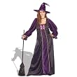 Hocus Pocus Witch Plus Adult Costume - Adult Costumes