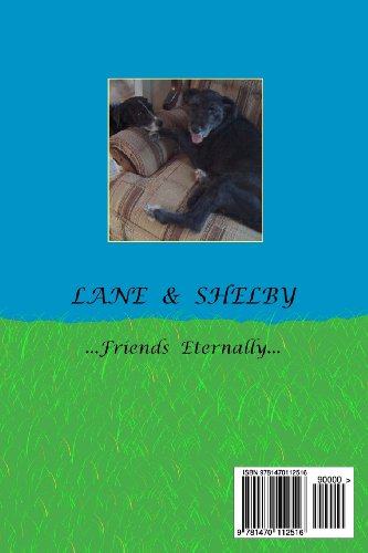 Finding The Rainbow On Land And Sea