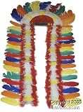 Indian Big Chief Feather Headdress (Size:Standard)
