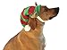 Dog Elf Hat for Christmas Party Medium BINGPET