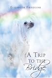 A Trip to the Bridge