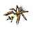 LEGO Exo-Force 8112 - Battle Arachnoid