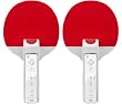 Wii Ping Pong Paddles