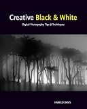 black & white photography tips|Creative Black and White: Digital Photography Tips and Techniques 41jwqViF95L. SL160 black & white photography tips|Creative Black and White: Digital Photography Tips and Techniques