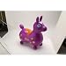 Gymnic Rody Horse Purple