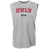 UNLV Runnin' Rebels Ash Arch Lettering Sleeveless T-shirt