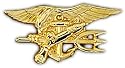 Gold US Navy Seals Insignia Pin