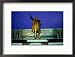 Large Mansudae Statue of Kim Il Sung, P'Yongyang, North Korea Collections Framed Photographic Poster Print by Tony Wheeler, 21x17
