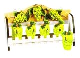 GREEN GRAPES 3-D Wood Spice Rack & 5 Jars Set Grape *NEW!*