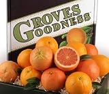 Citrus Medley Box