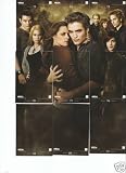 Twilight New Moon Series 2 - 9 Card Puzzle Set