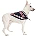 Dog Bandana - Boston Red Sox - Medium/Large