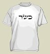 Kasher (Kosher) T-shirt . Size: Medium