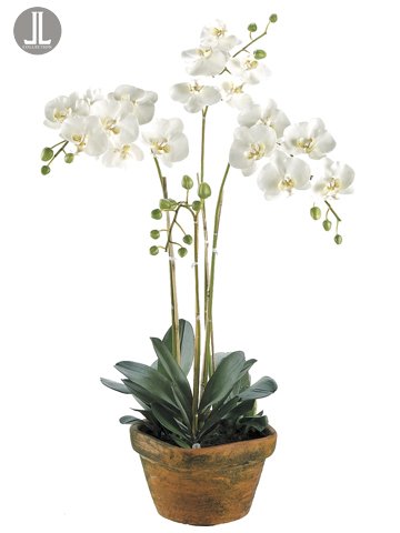 36″ Potted Artificial White Phalaenopsis Orchid Plant Silk Flower Arrangement