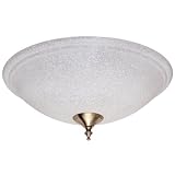 Hunter 28395 Energy Efficient Dual Bowl Light (30watt Circline Flourescent) Scavo Snowfl by Hunter