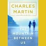 The Mountain Between Us: A Novel