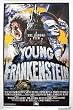 YOUNG FRANKENSTEIN - MEL BROOKS - NEW MOVIE POSTER (Size 27"x40")