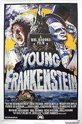 YOUNG FRANKENSTEIN - MEL BROOKS - NEW MOVIE POSTER (Size 27"x40")