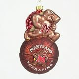Maryland Terrapins 5 Glass Mascot Basketball Ornament
