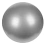 Sunny Health & Fitness Anti-Burst Gym Ball, 65 CM