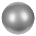 Sunny Health & Fitness Anti-Burst Gym Ball, 65 CM
