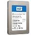 Western Digital 256 GB SiliconEdge Blue SATA Solid State Drive SSC-D0256SC-2100