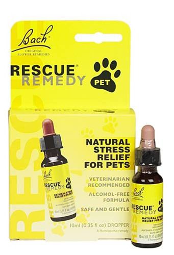 anxiety in dogs