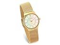 Skagen Women's Stainless Steel Watch #233XSGG