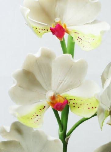 Luxury Vanda Orchid Plant Flower Artificial Clay 13" (White)