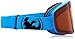 Dragon Alliance NFX Ski Goggles