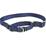 Premier Collar (Large, 1