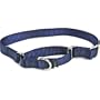 Premier Collar, Large 1-Inch, Navy