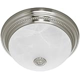 Hunter Fan Fan Ashbury 81001 Bathroom Fan, Brushed Nickel with Beaded Detail and Swirled Marble Glass