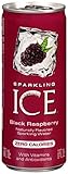 UPC 016571951634 product image for Sparkling ICE 8 Oz Can (Black Raspberry, 8 Count) | upcitemdb.com