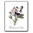 Lathyrus Odoratus - Thinking of You Gift Enclosure Cards (set of 12)