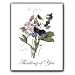 Lathyrus Odoratus - Thinking of You Gift Enclosure Cards (set of 12)